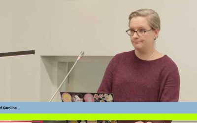 Ryhmäpuhe valtuuston kokouksessa 17.11.2025