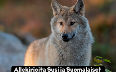 Sudet kuuluvat luontoon. Allekirjoita Susi ja Suomalaiset -kansalaisaloite.